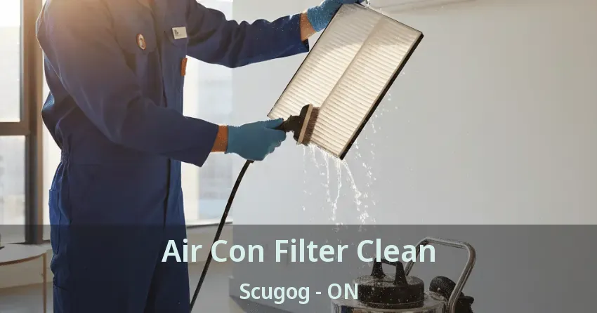 Air Con Filter Clean Scugog - ON Air Con Filter Clean Scugog - ON