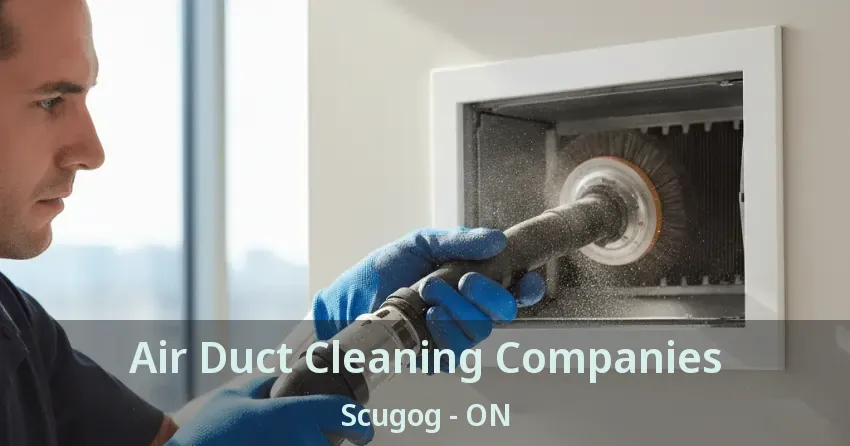 Air Duct Cleaning Companies Scugog - ON