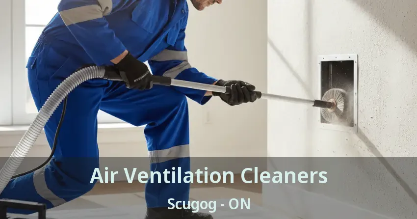 Air Ventilation Cleaners Scugog - ON