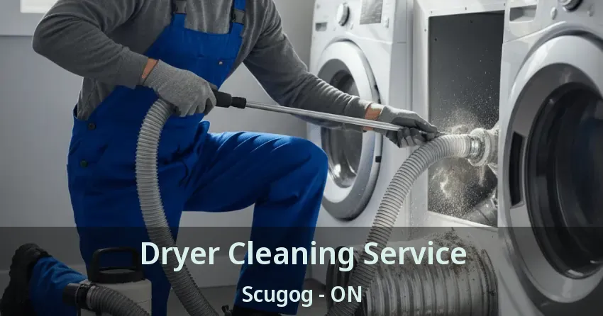 Dryer Cleaning Service Scugog - ON