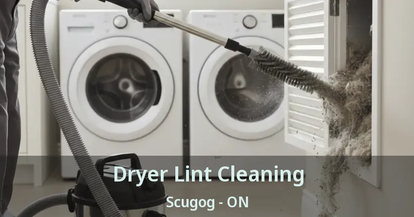 Dryer Lint Cleaning Scugog - ON Dryer Lint Cleaning Scugog - ON