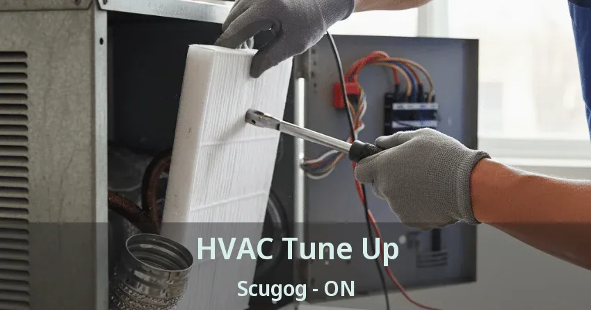 HVAC Tune Up Scugog - ON