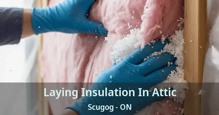 Laying Insulation In Attic Scugog - ON Laying Insulation In Attic Scugog - ON